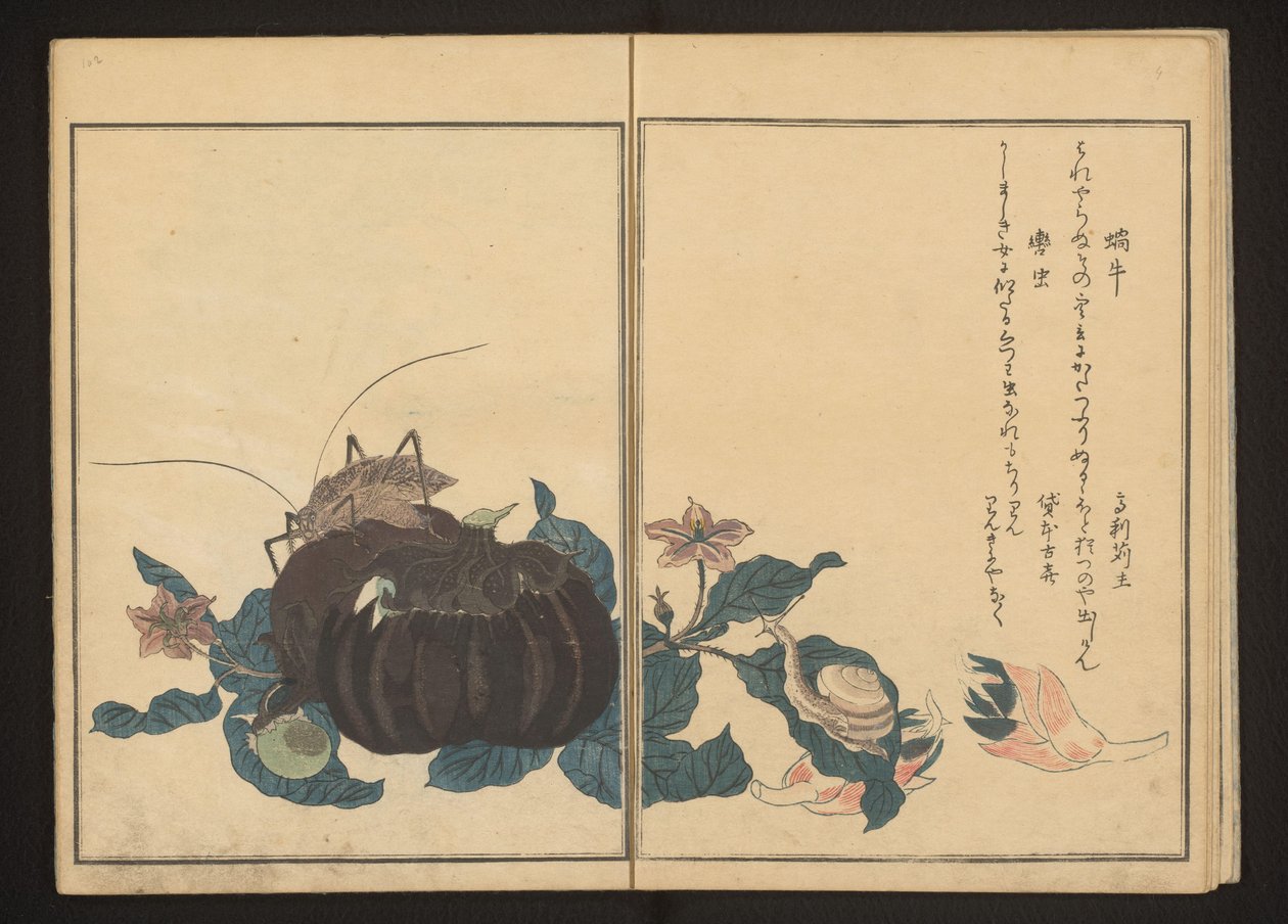 Snegl og larmende cricket på aubergine af Kitagawa Utamaro