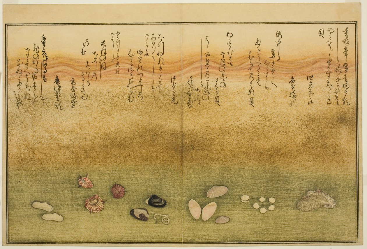 Sudare-gai, hana-gai, sakura-gai, mumeno-gai, nadeshiko-gai und kinuta-gai, aus dem illustrierten Buch "Geschenke von der Ebbe" von Kitagawa Utamaro