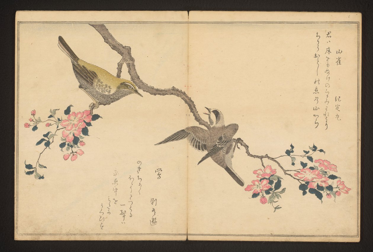 Mejse og busk-sanger af Kitagawa Utamaro