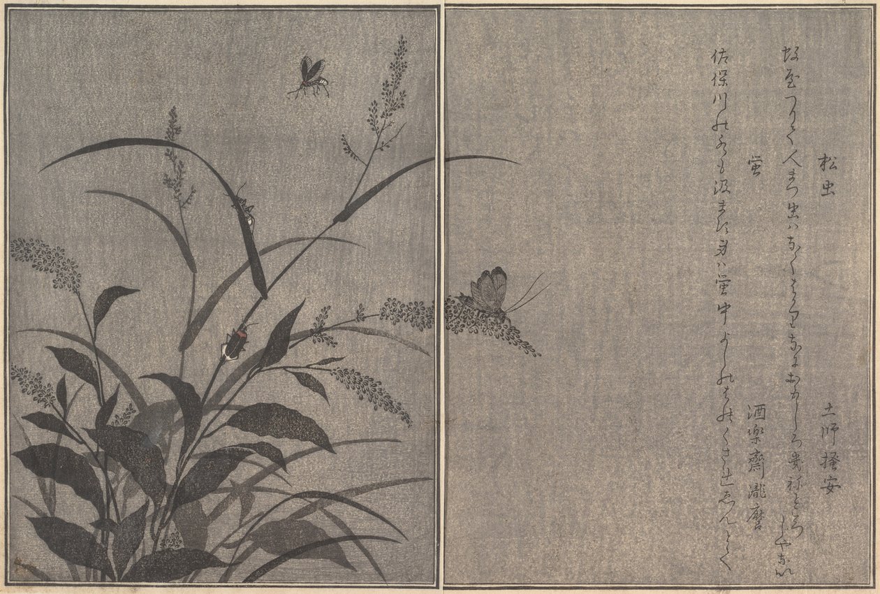Træcricket Matsumushi, Firefly Hotaru..., 1788. af Kitagawa Utamaro