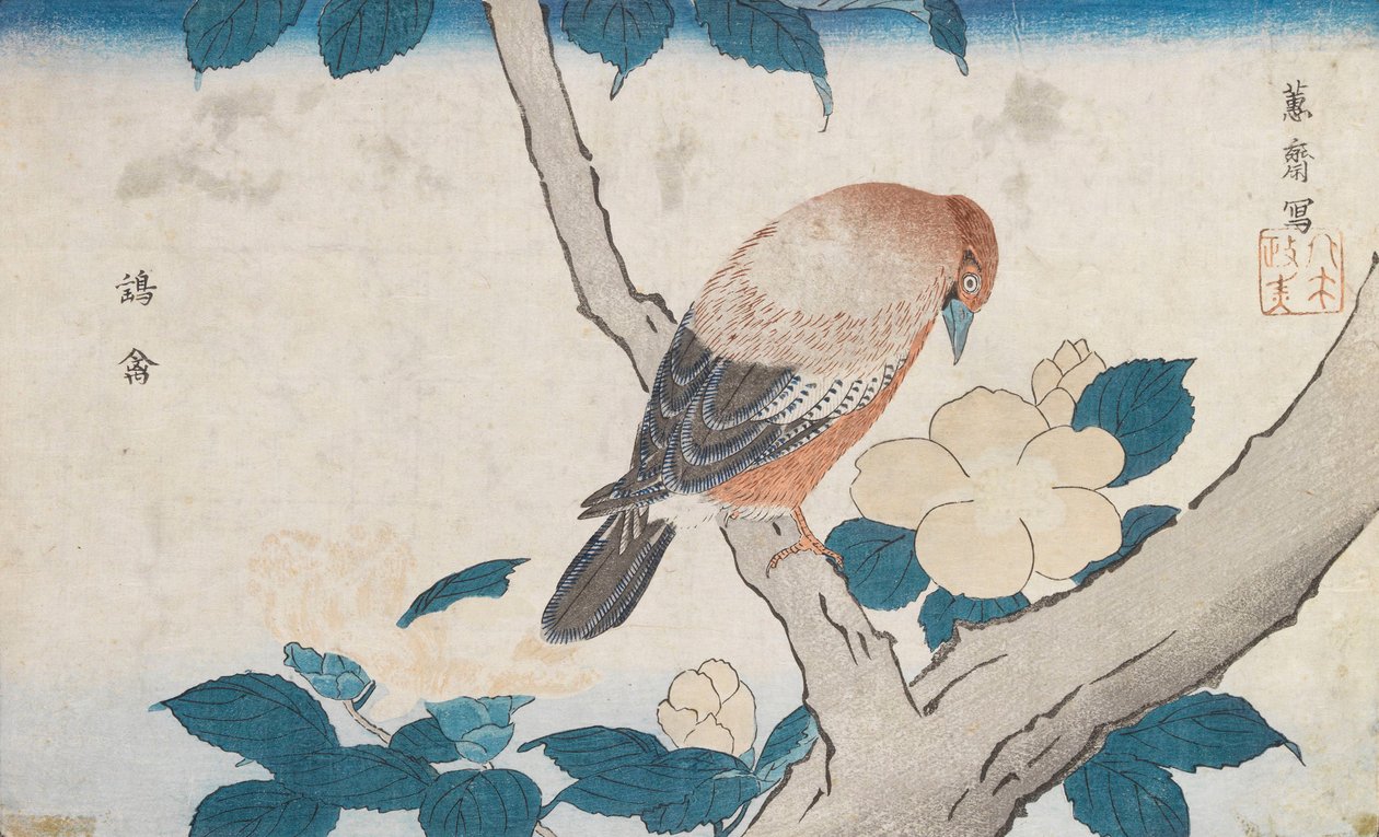 Uden titel af Kitao Masayoshi