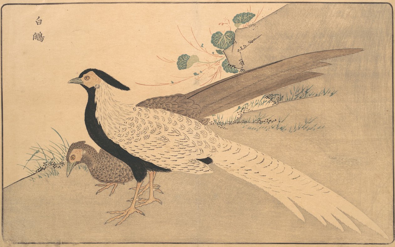 f. Ae Hyun, 1789. af Kitao Masayoshi