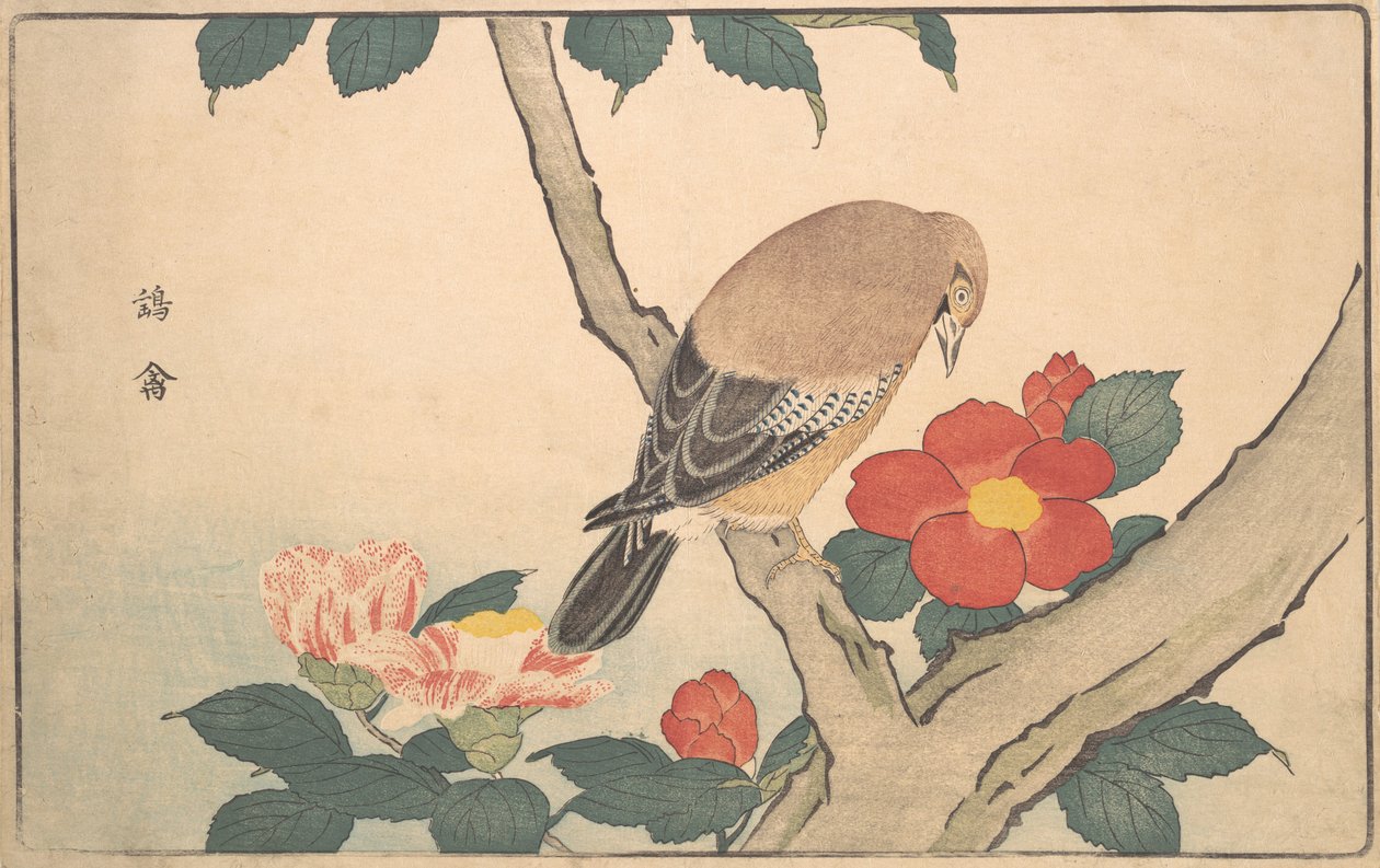 Kameliaer med en fugl, 1789. af Kitao Masayoshi
