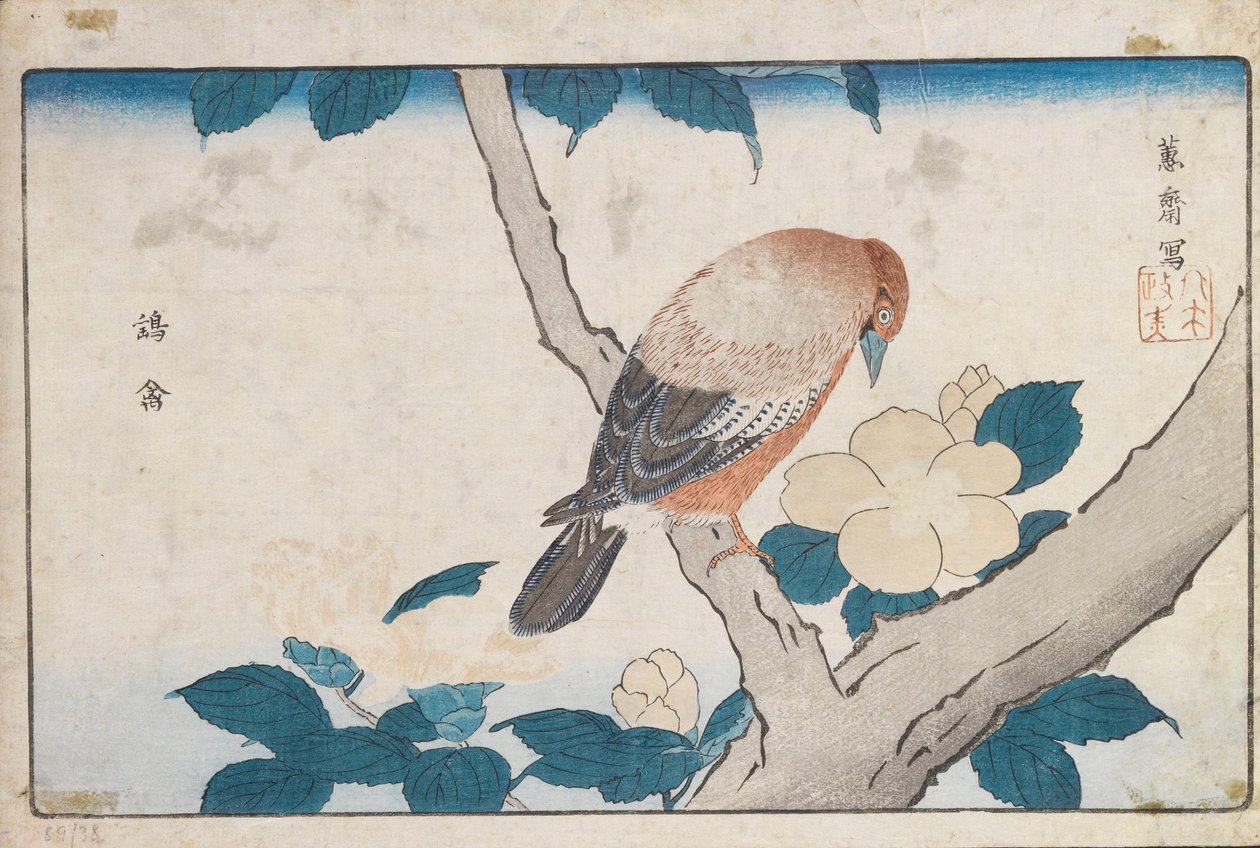 Uden titel af Kitao Masayoshi