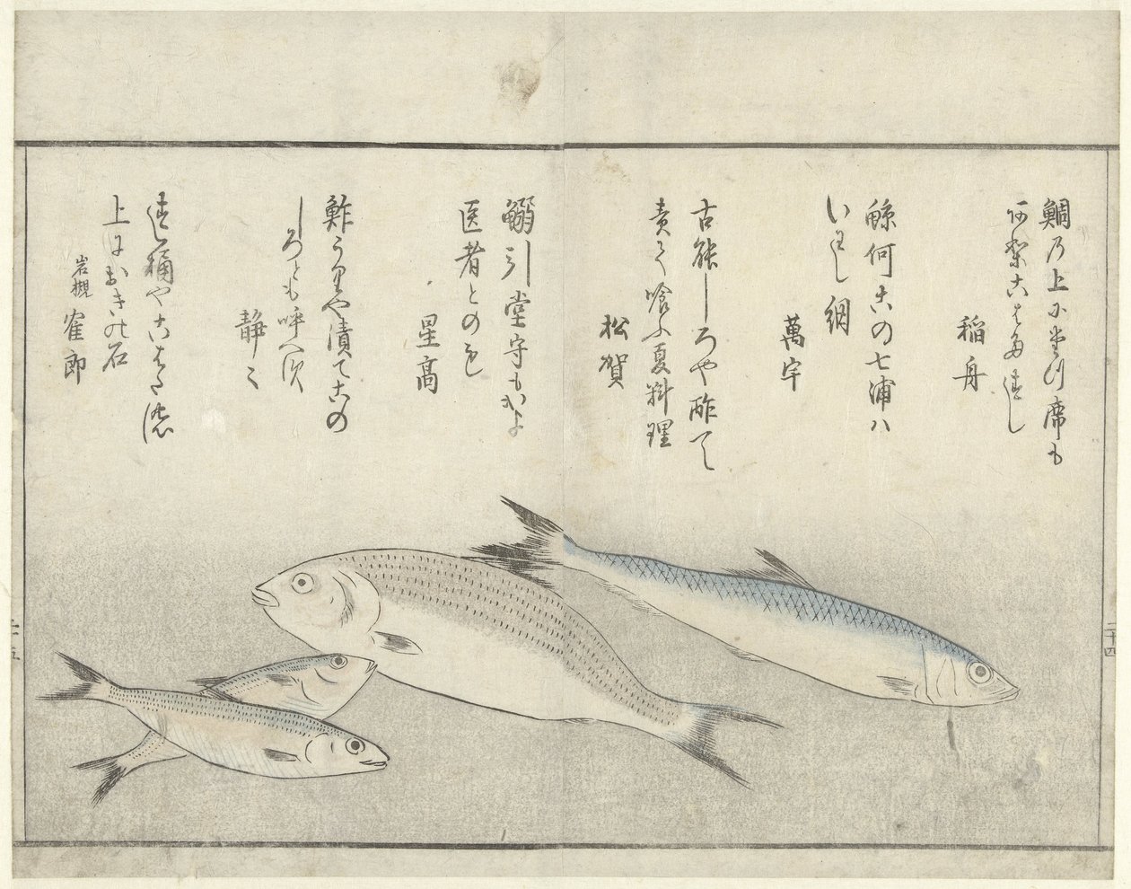 Fire fisk af Kitao Masayoshi