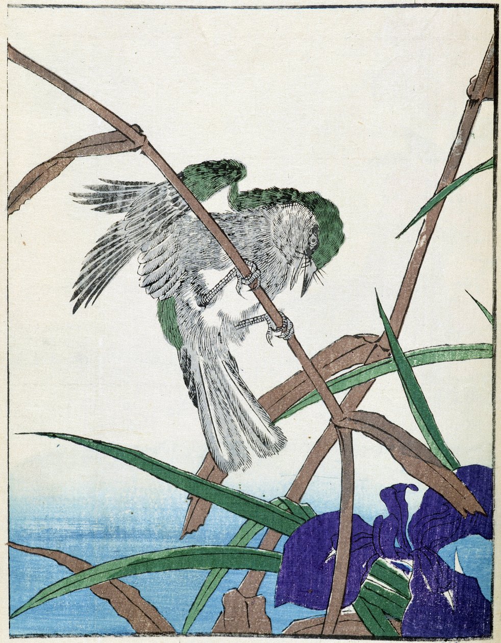Fugl på et træ. Japansk tegning af Kitao Kosuisai af Kitao Shigemasa