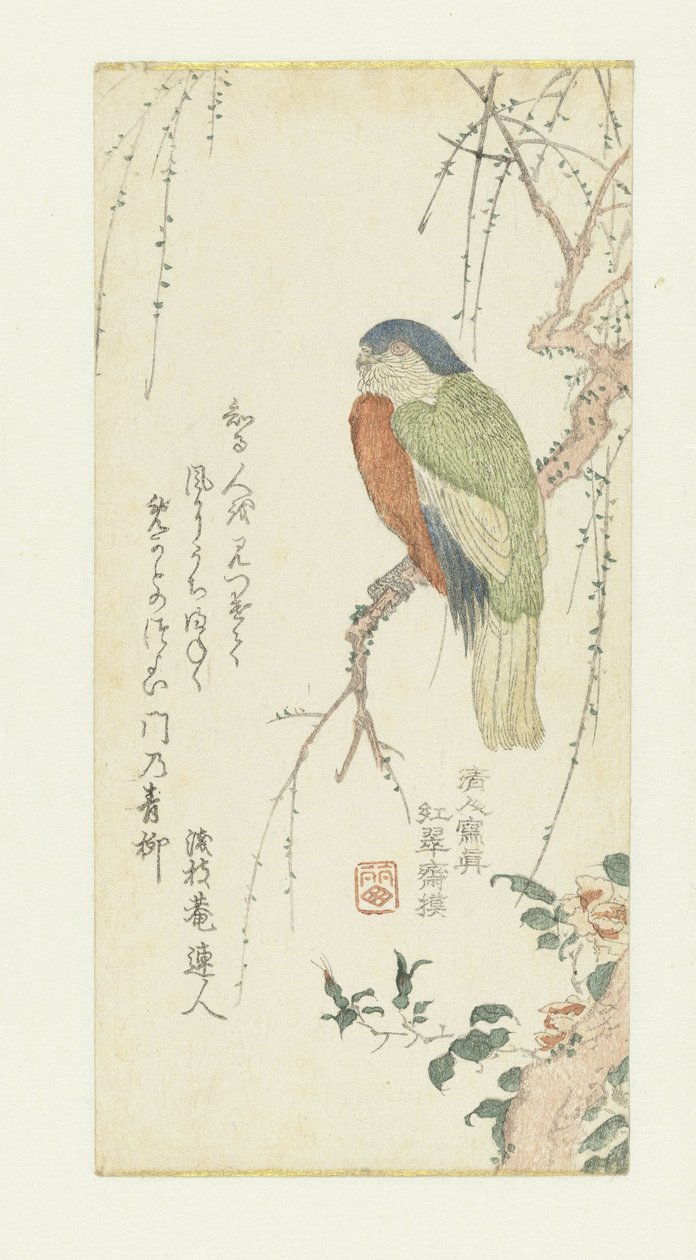 Papegøje i et blommetræ af Kitao Shigemasa