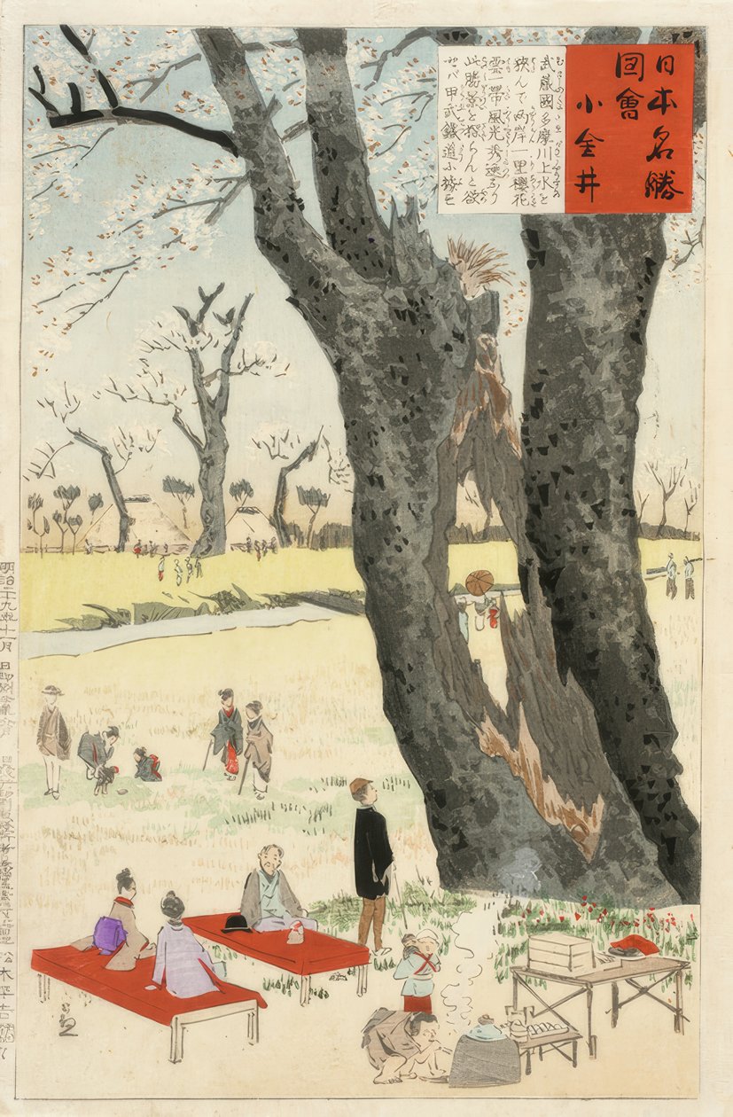 Koganei, kirsebærblomster af Kiyochika Kobayashi