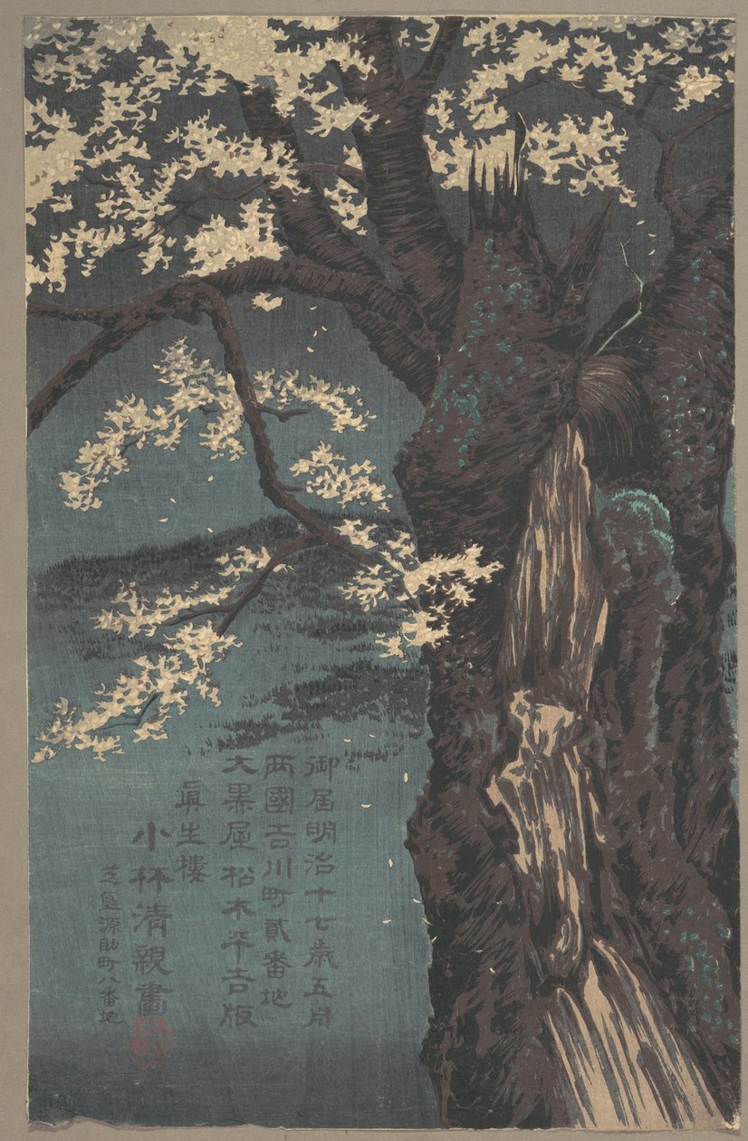 Kirsebærtræ af Kobayashi Kiyochika