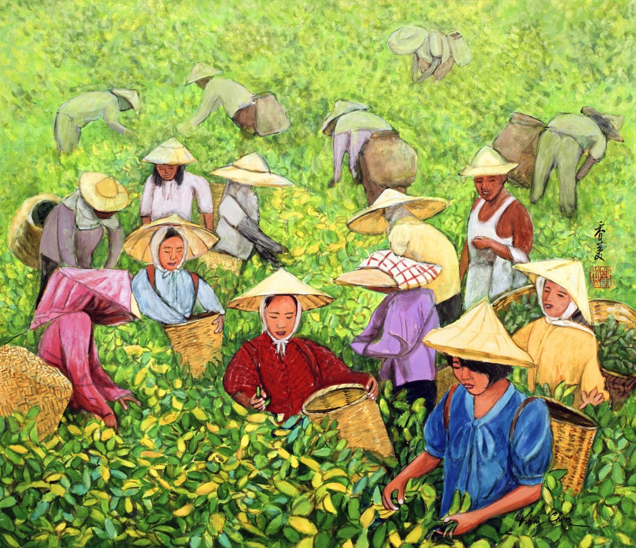 Tea Picking Girl, 1994 (gouache på silke) af Komi Chen