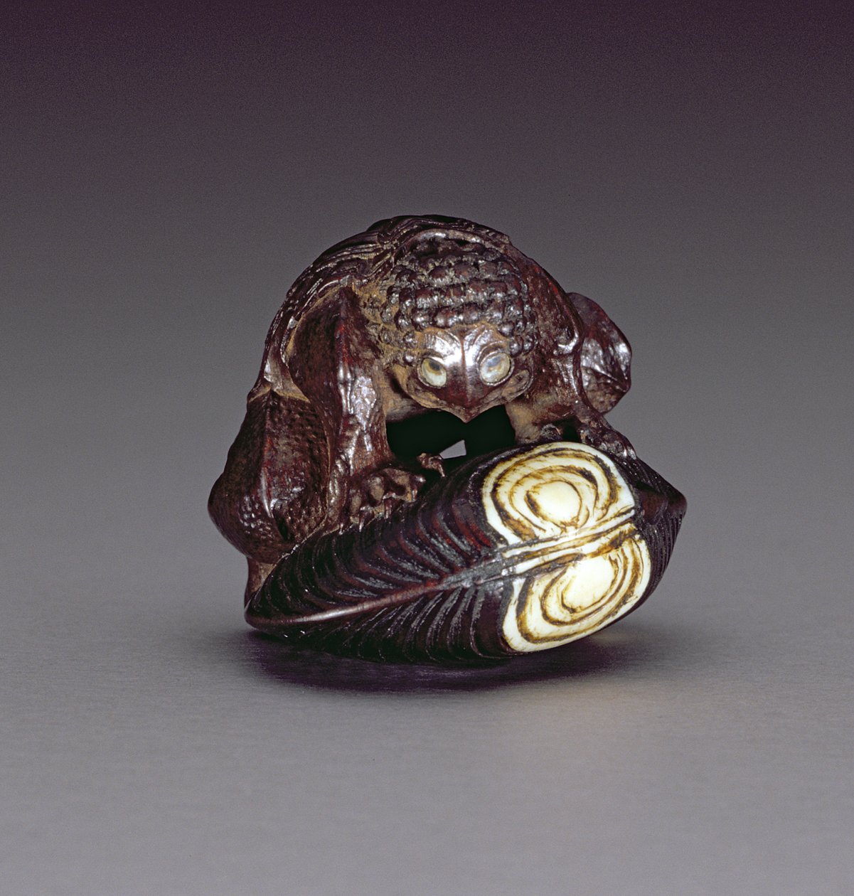 Netsuke skildrer en kappa, der sidder på huk på en muslingeskal, 1860-80 (træ) af Komin