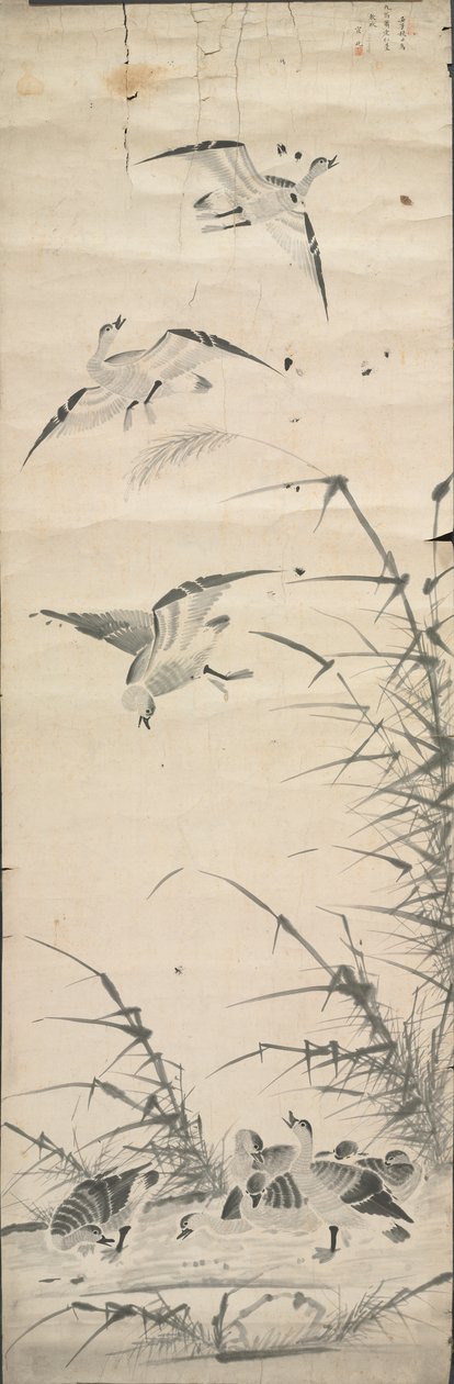 Vilde gæs og rør af Korea, Joseon dynasty