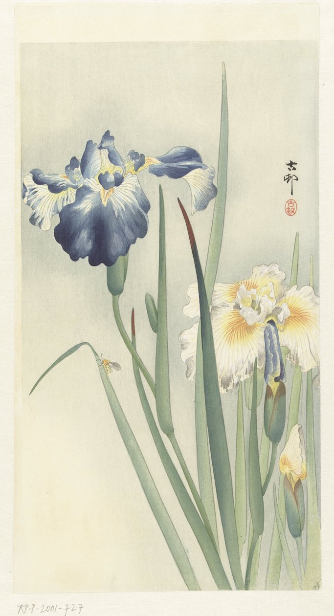 Iriser af Ohara Koson