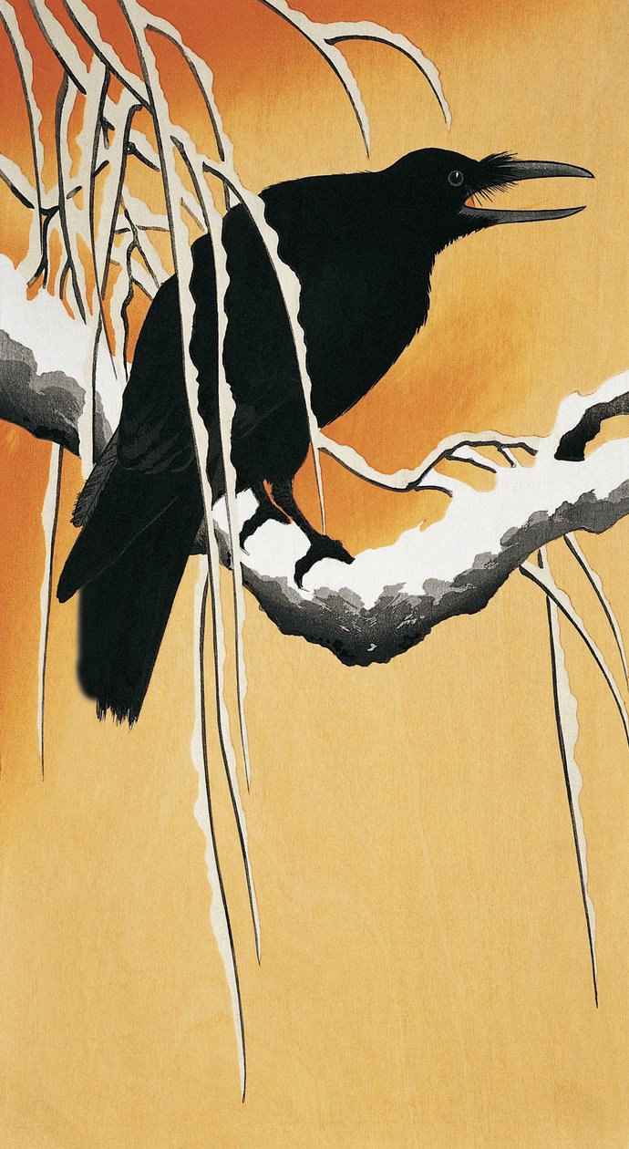 Ravn sætter sig på en gren (Corvus corax) af Ohara Koson