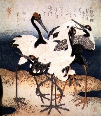 Fem traner med hvide fjer i forskellige positurer på en sanddyn, fra Three Petals-serien, ca. 1816 (blæk) af Kubo Shumman
