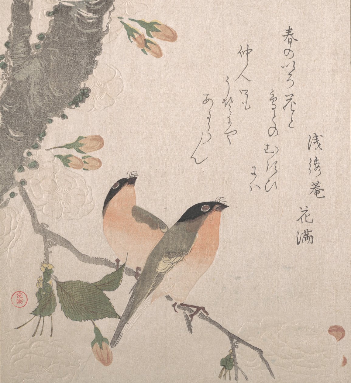 Bullfinches and Cherry Blossoms, 1800-tallet. af Kubo Shunman