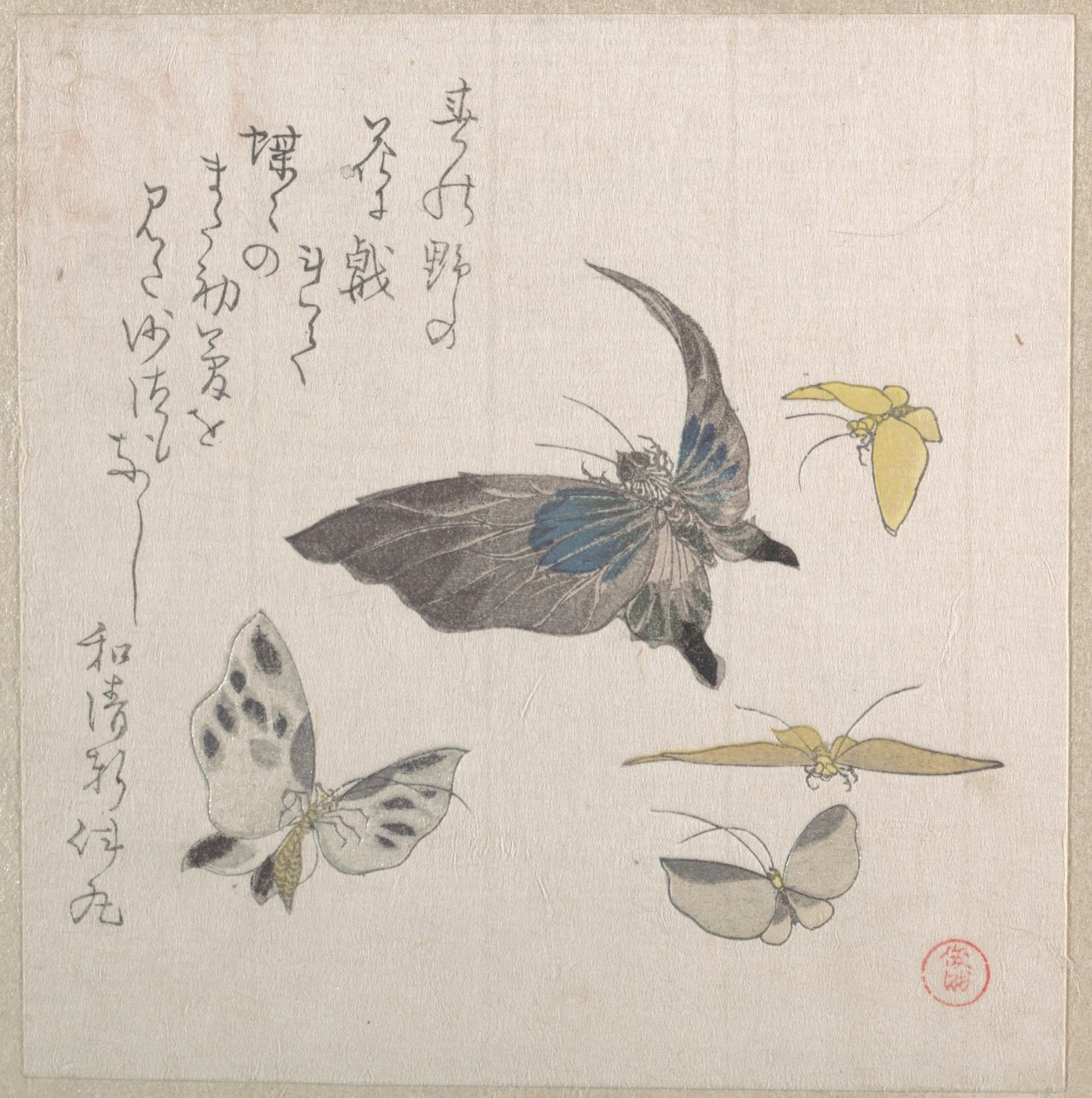 Sommerfugle af Kubo Shunman