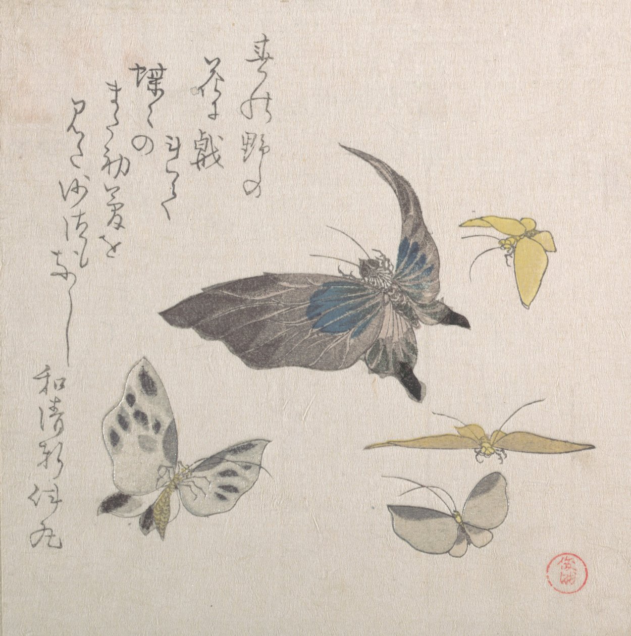 Sommerfugle, 1800-tallet. af Kubo Shunman