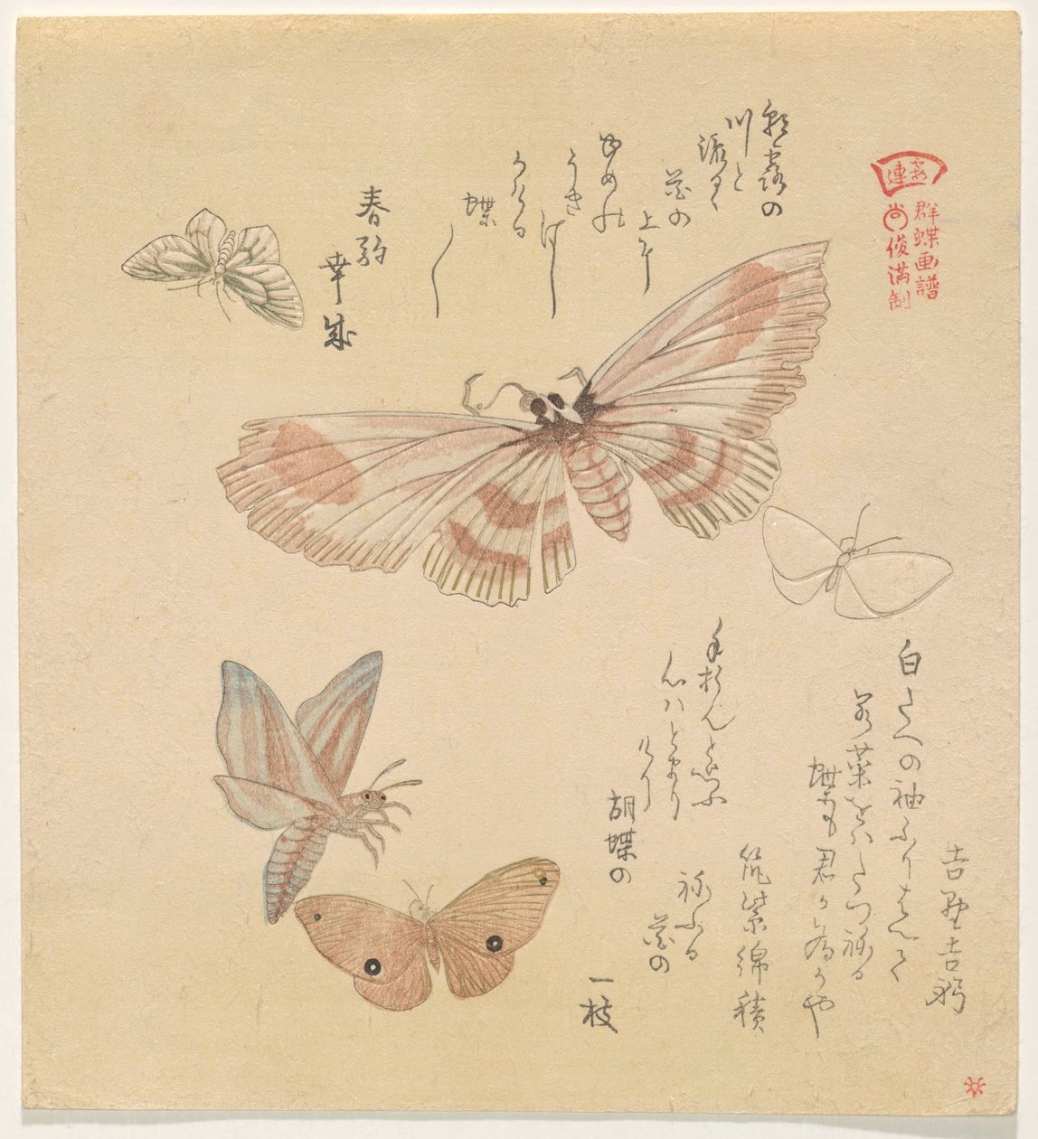 Sommerfugle og møl, fra serien A Flock of Butterflies (Gunch? Gafu) af Kubo Shunman