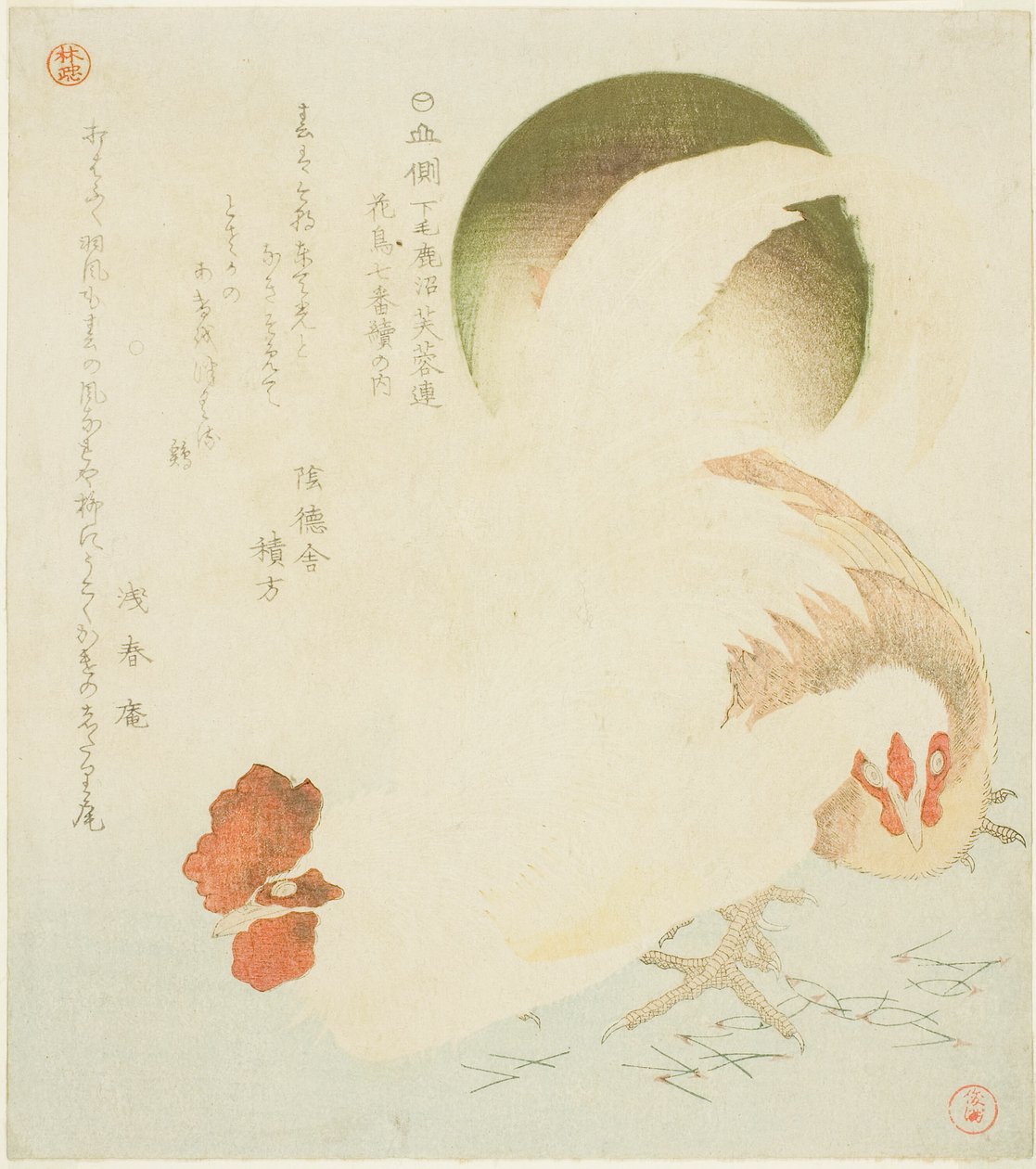 Hane, høne og opgående sol, fra serien "Syv fugle-og-blomstertryk til Fuyo-cirklen i Kanuma i Shimotsuke-provinsen (Yamagawa Shimotsuke Kanuma Fuyo-ren kacho nanaban tsuzuki no uchi)" af Kubo Shunman