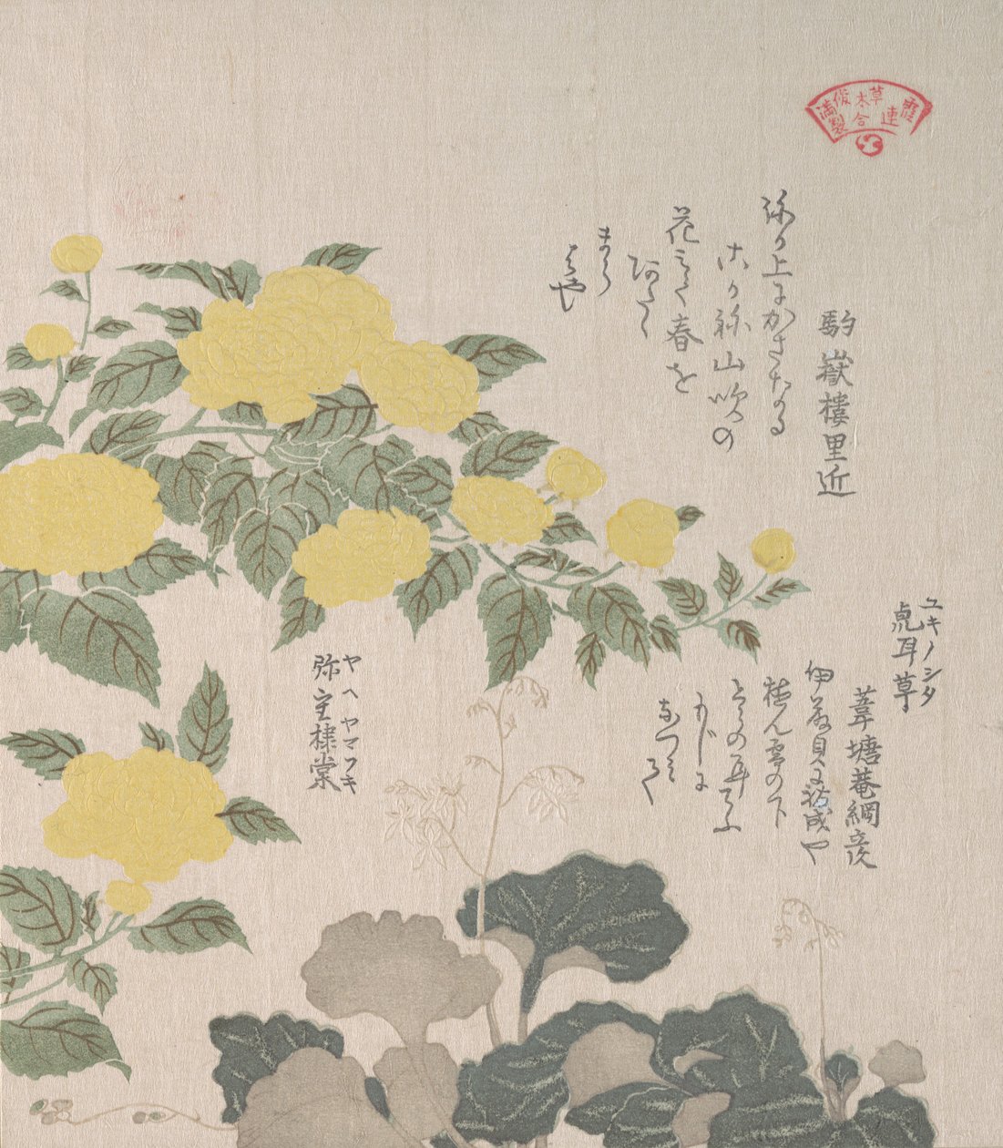 Korkor eller gul rose og krybende knæk, 1800-tallet. af Kubo Shunman