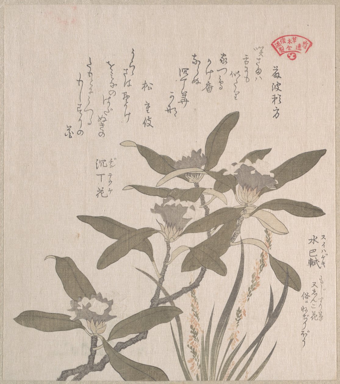 Daphne odora og Mojisuri-so af Kubo Shunman