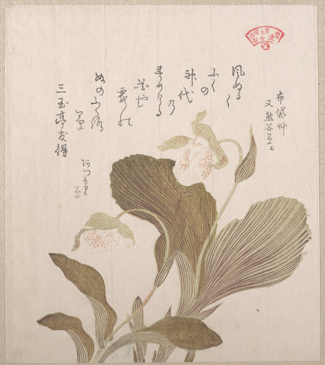 Hoteis blomster af Kubo Shunman