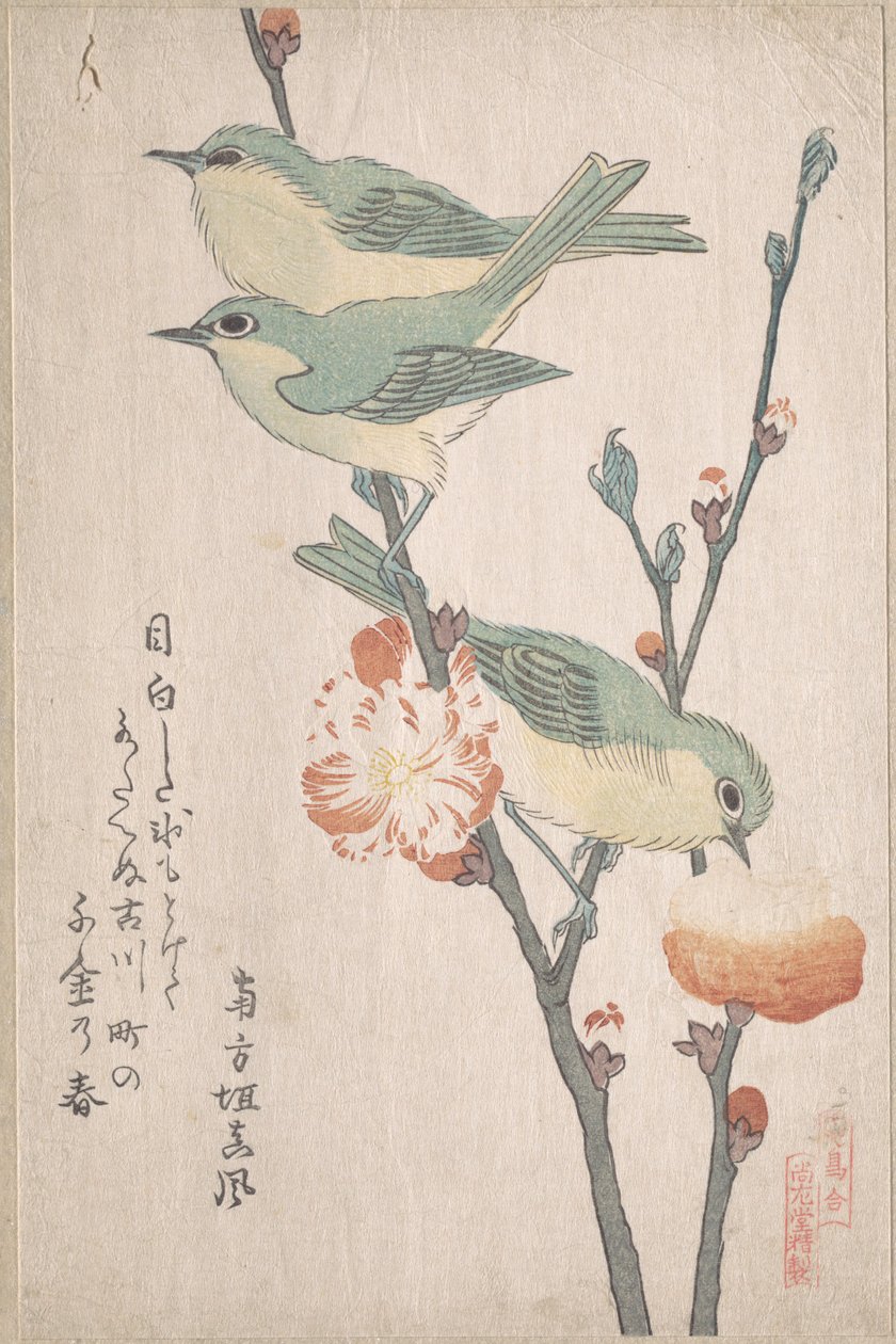 Japanske brillefugle på en gren af et ferskentræ, fra serien En samling fugle (Tori awase), fra surimonoalbummet Forårsregn (Harusame surimono-jō, bd. 3) af Kubo Shunman