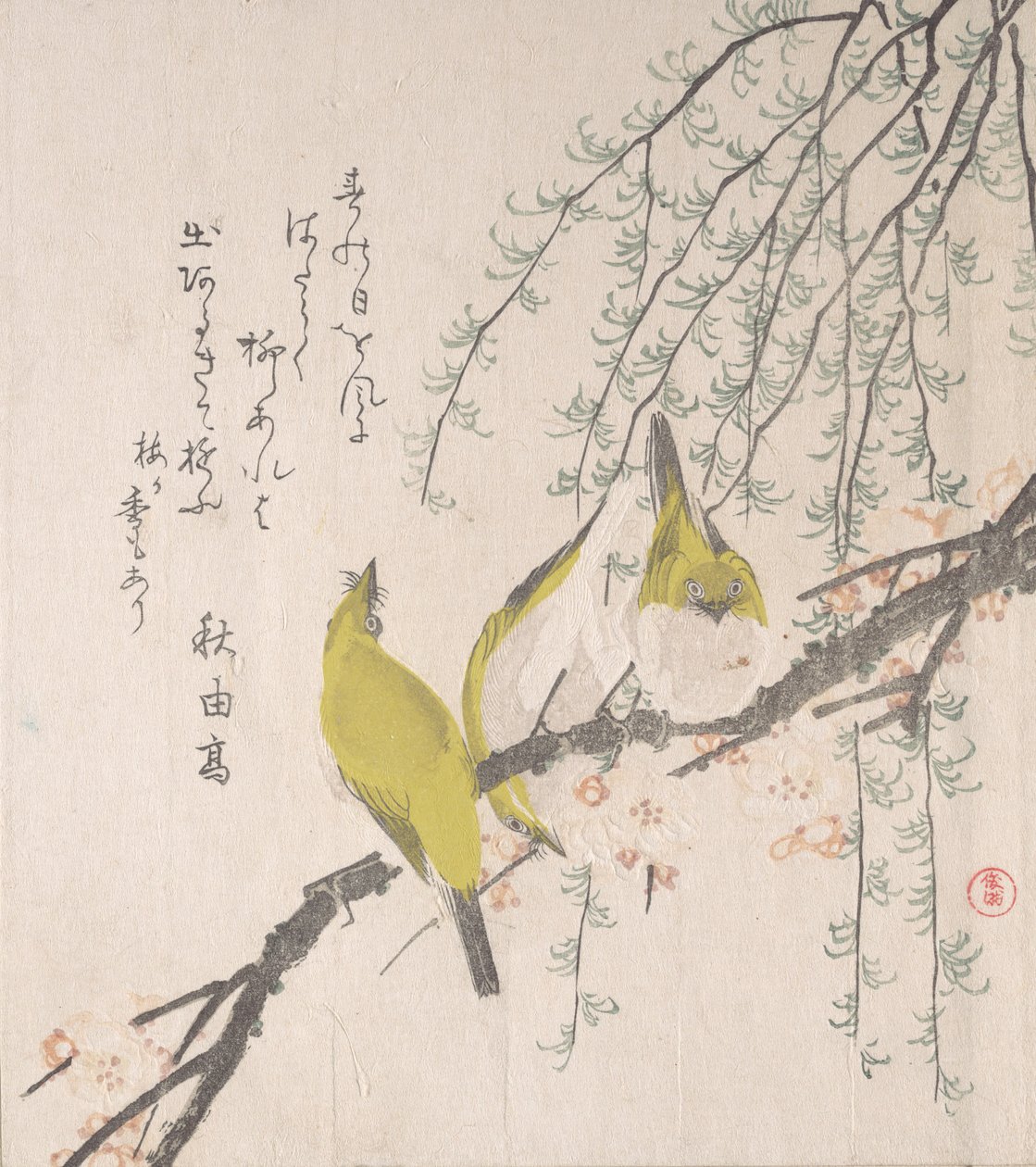 Japanske hvide øjne med blommetræ og pil..., ca. 1810. af Kubo Shunman