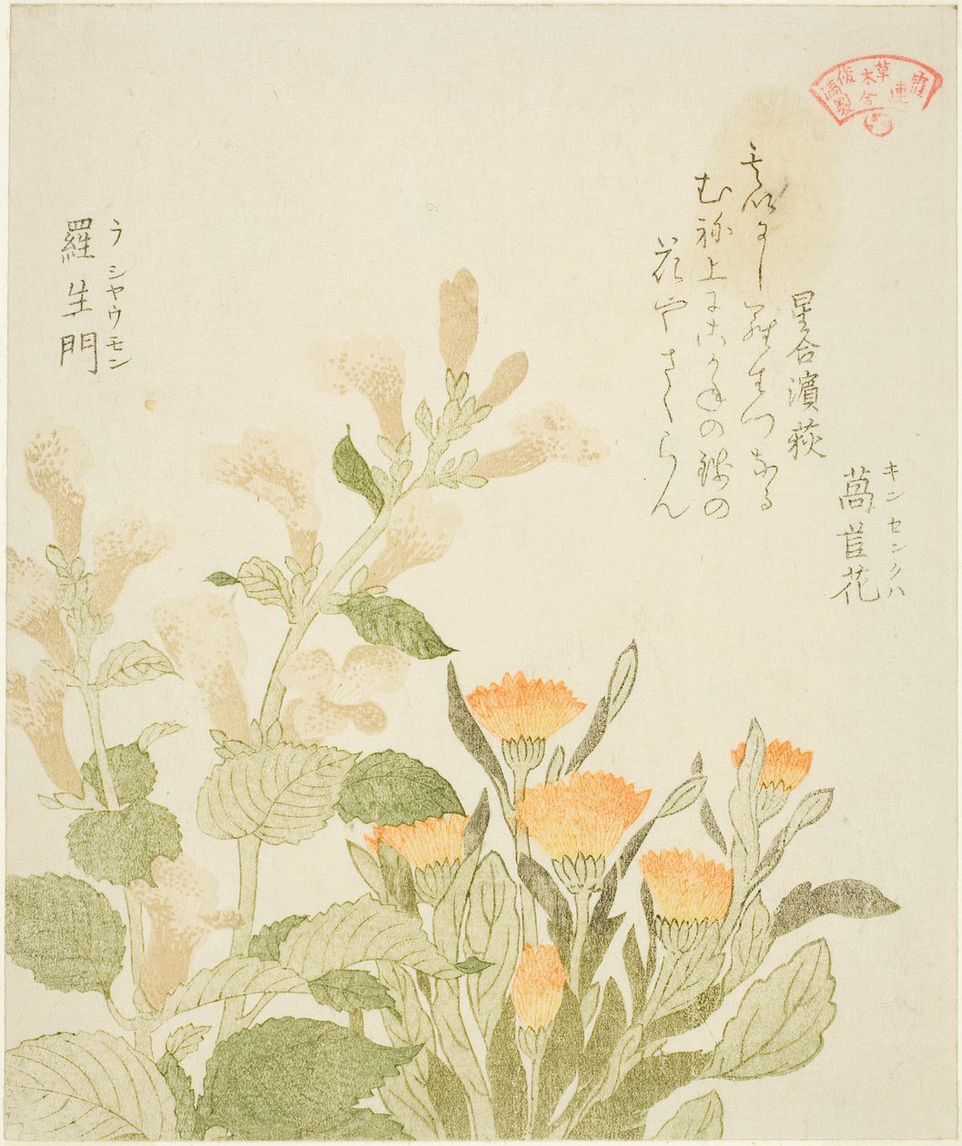 Kasumi Poesi Circle - Marigold (Kinsenka) og Rashomon Flowers af Kubo Shunman
