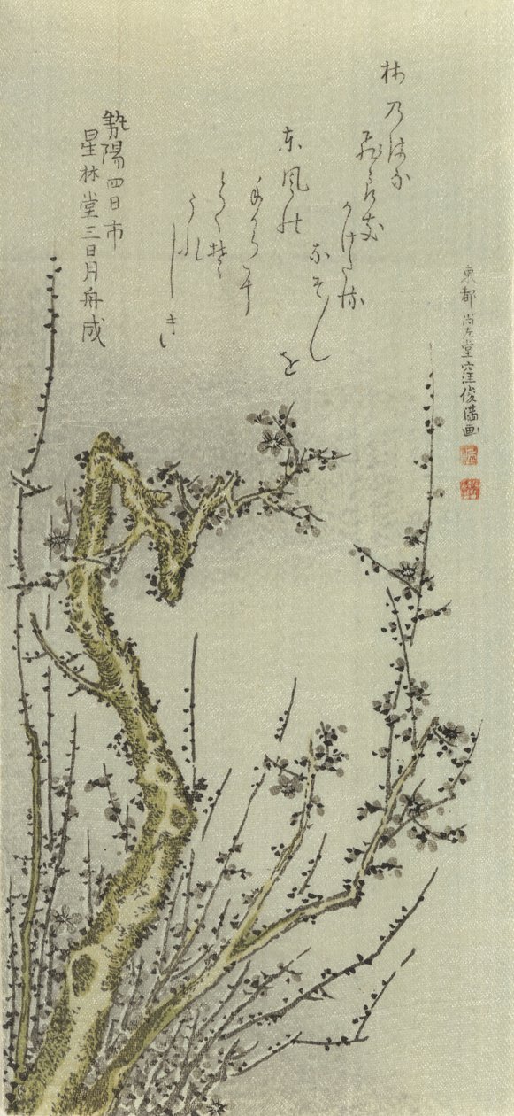 Gammelt blommetræ, 1796. af Kubo Shunman