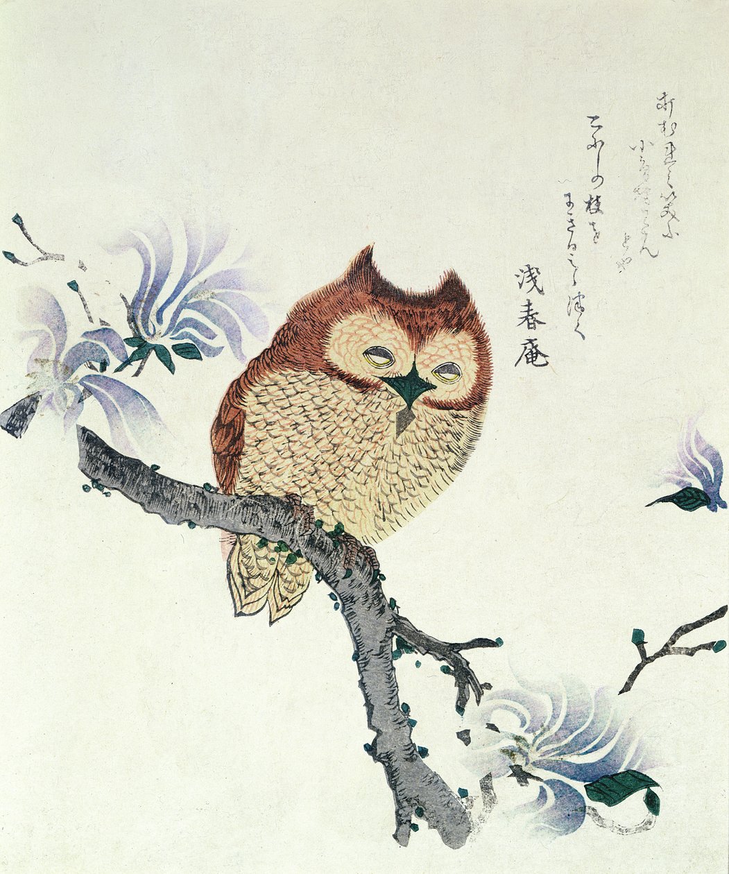Owl on a Magnolia Branch (blæk og farve på papir) af Kubo Shunman