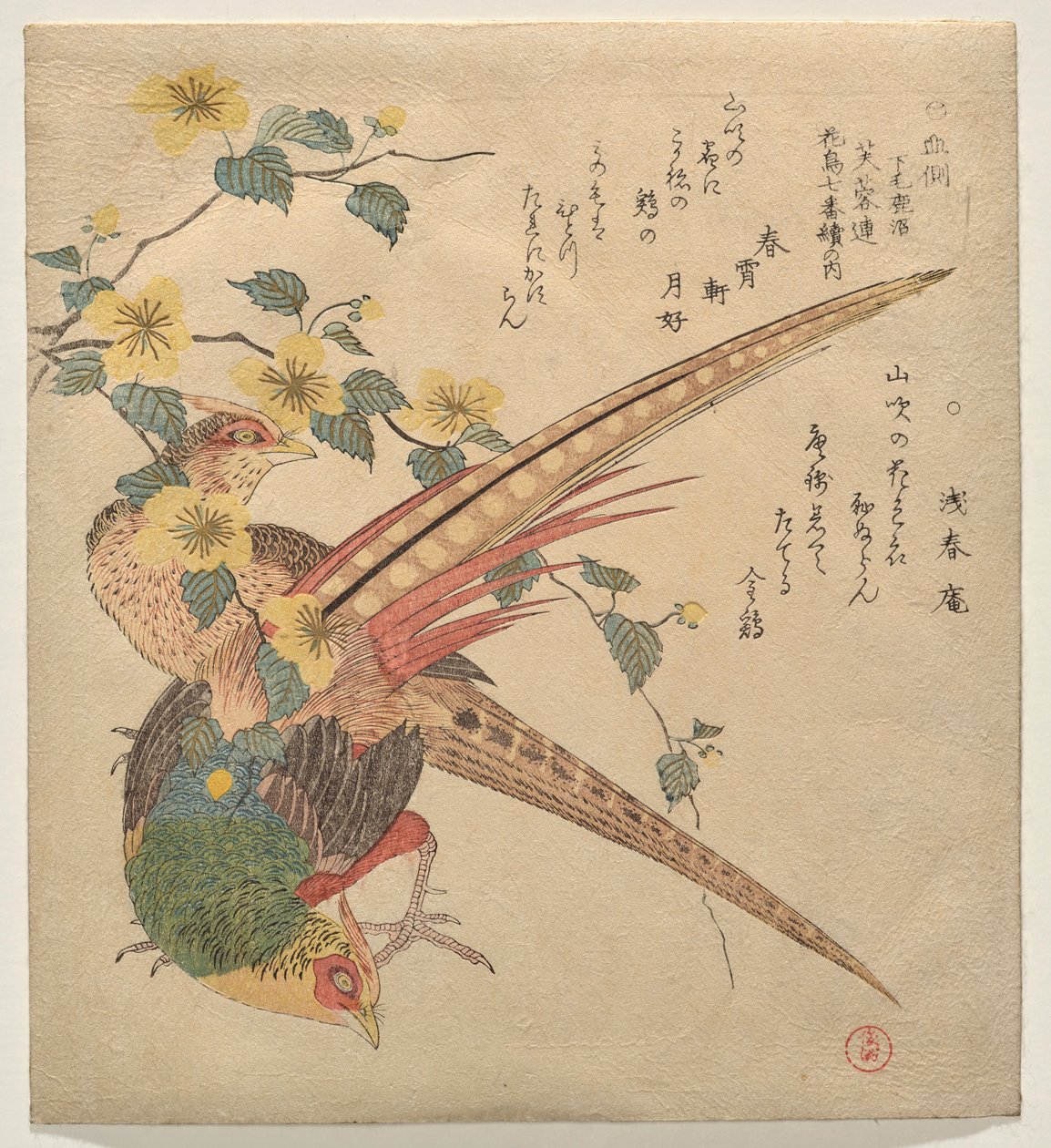 Et par kinesiske fasaner og en gren af yamabuki-blomster af Kubo Shunman