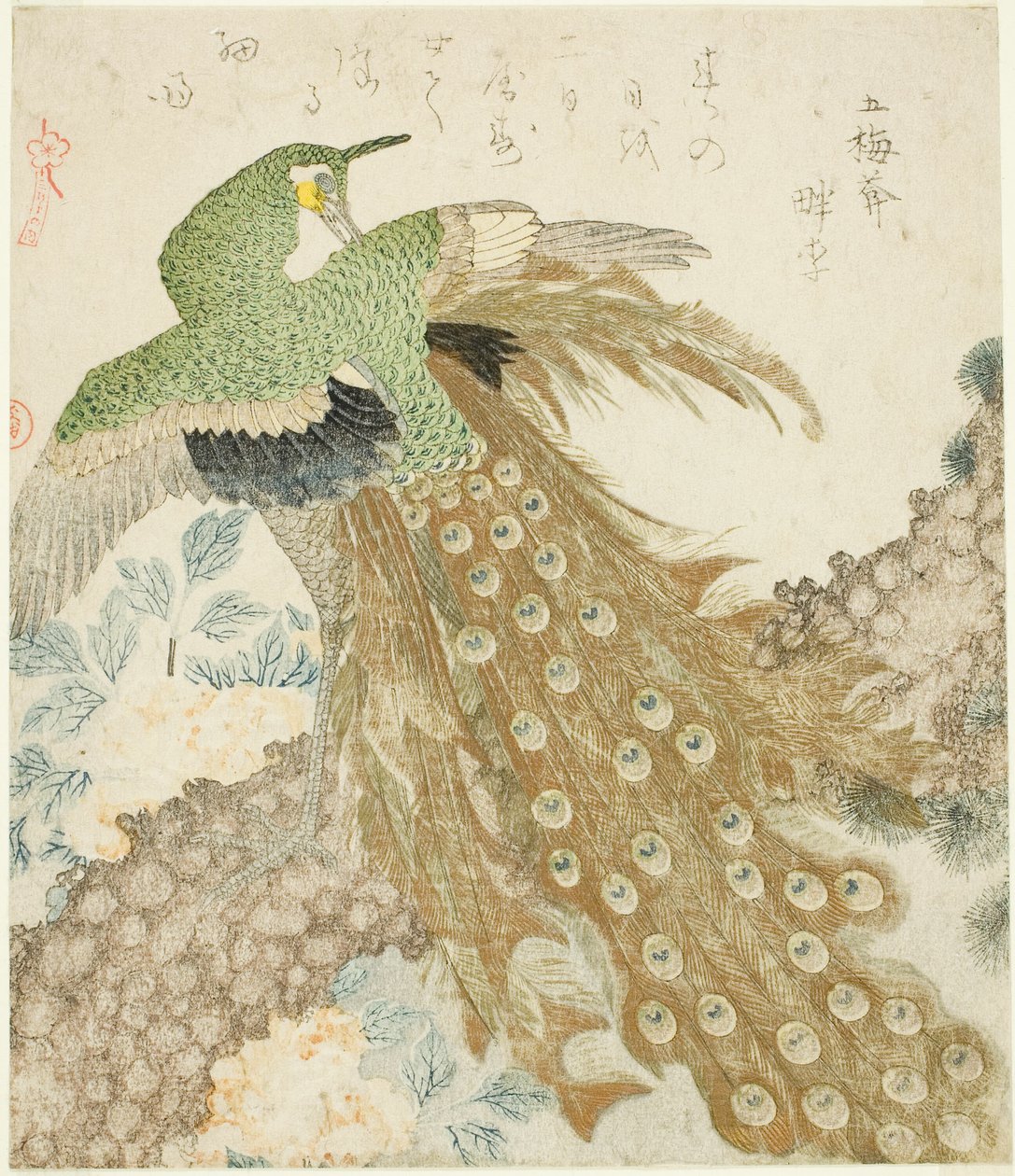 Peacock, Pine Tree, and Peonies, fra serien "A Set of Three Petals (San hira no uchi)" af Kubo Shunman