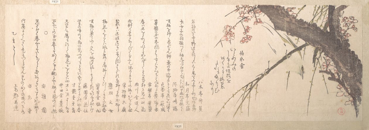Blommeblomst af Kubo Shunman