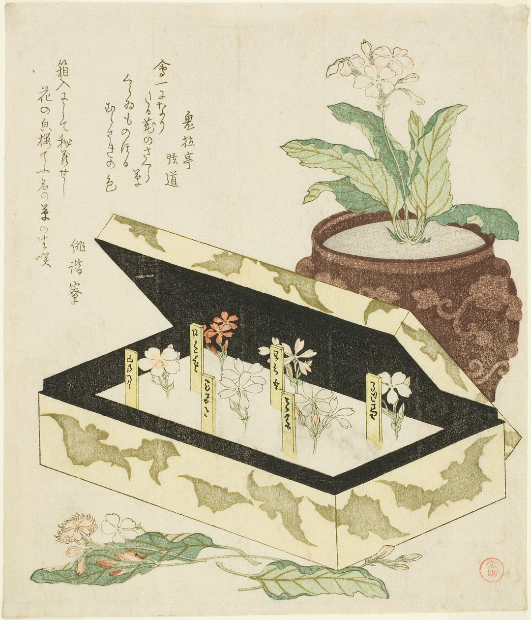 Primulaer af Kubo Shunman