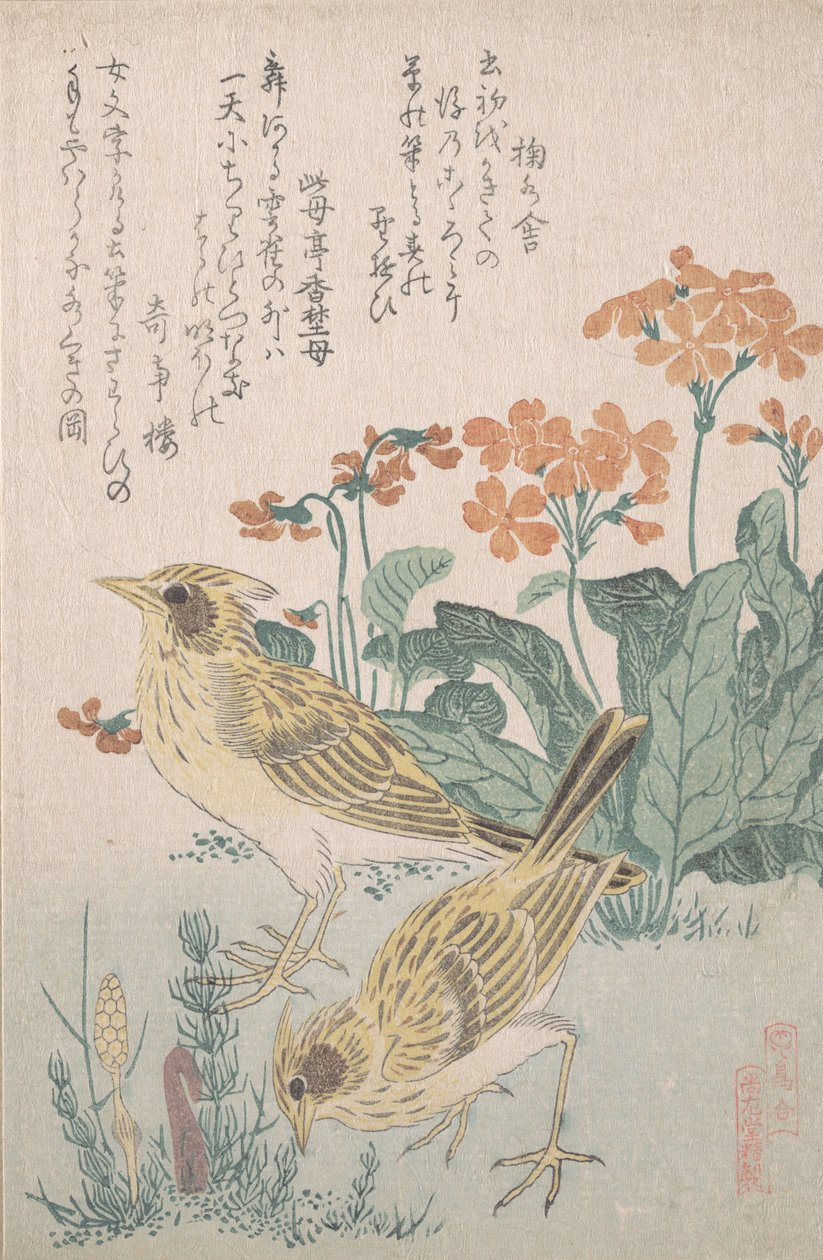 Lærker og primula..., ca. 1805-10. af Kubo Shunman