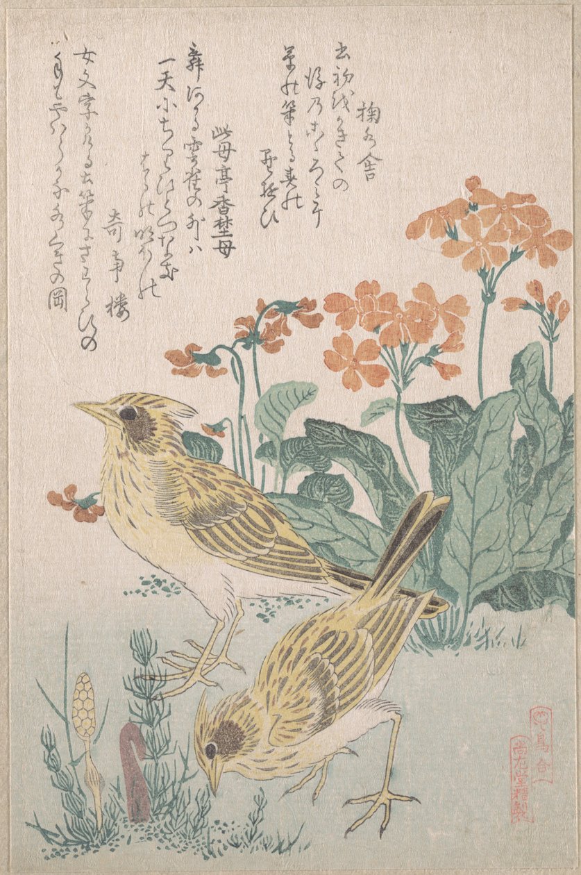 Sanglærker og kodriver, fra serien „En samling fugle“ (Tori awase), fra surimonoalbummet Forårsregn (Harusame surimono-jō, bd. 3) af Kubo Shunman