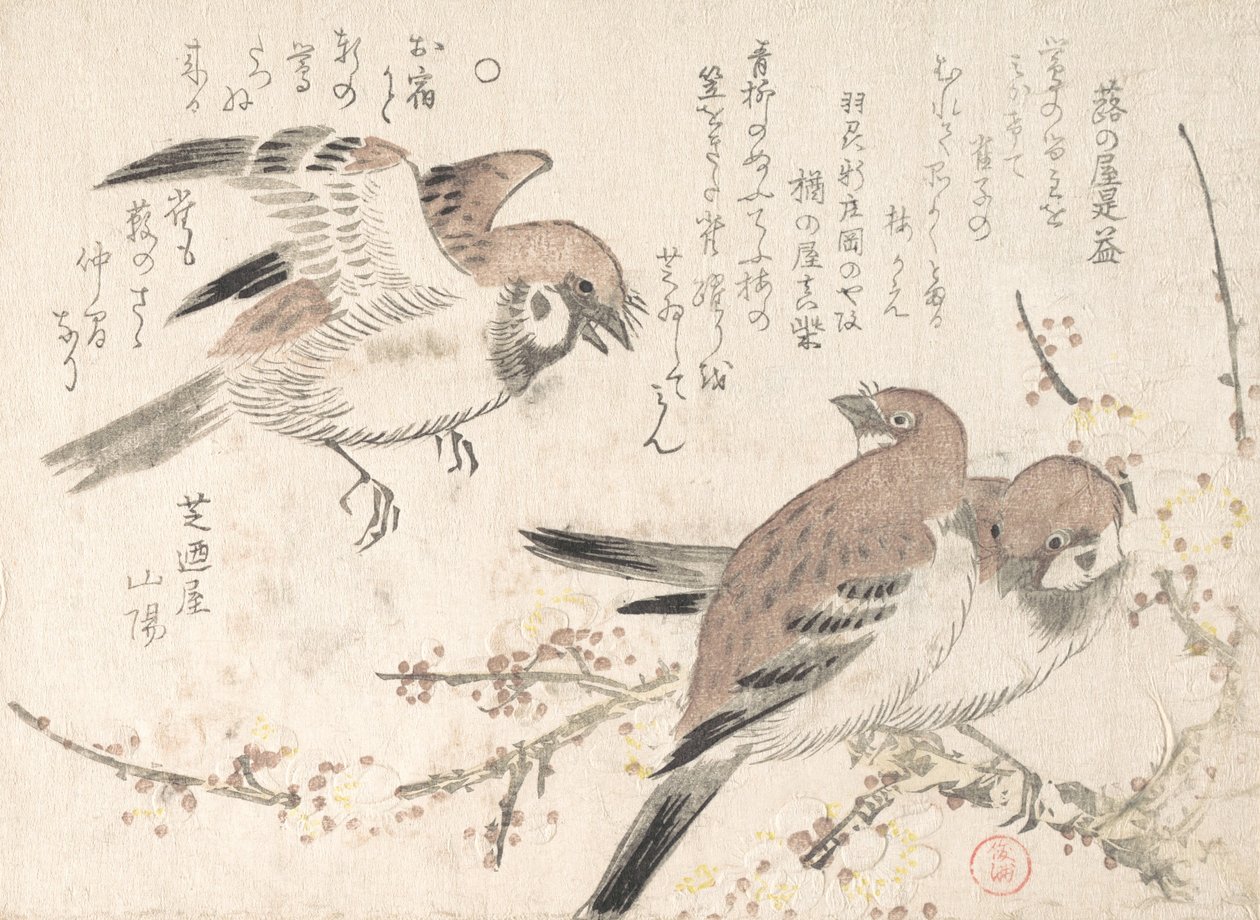 Spurve og blommeblomster, 1800-tallet. af Kubo Shunman