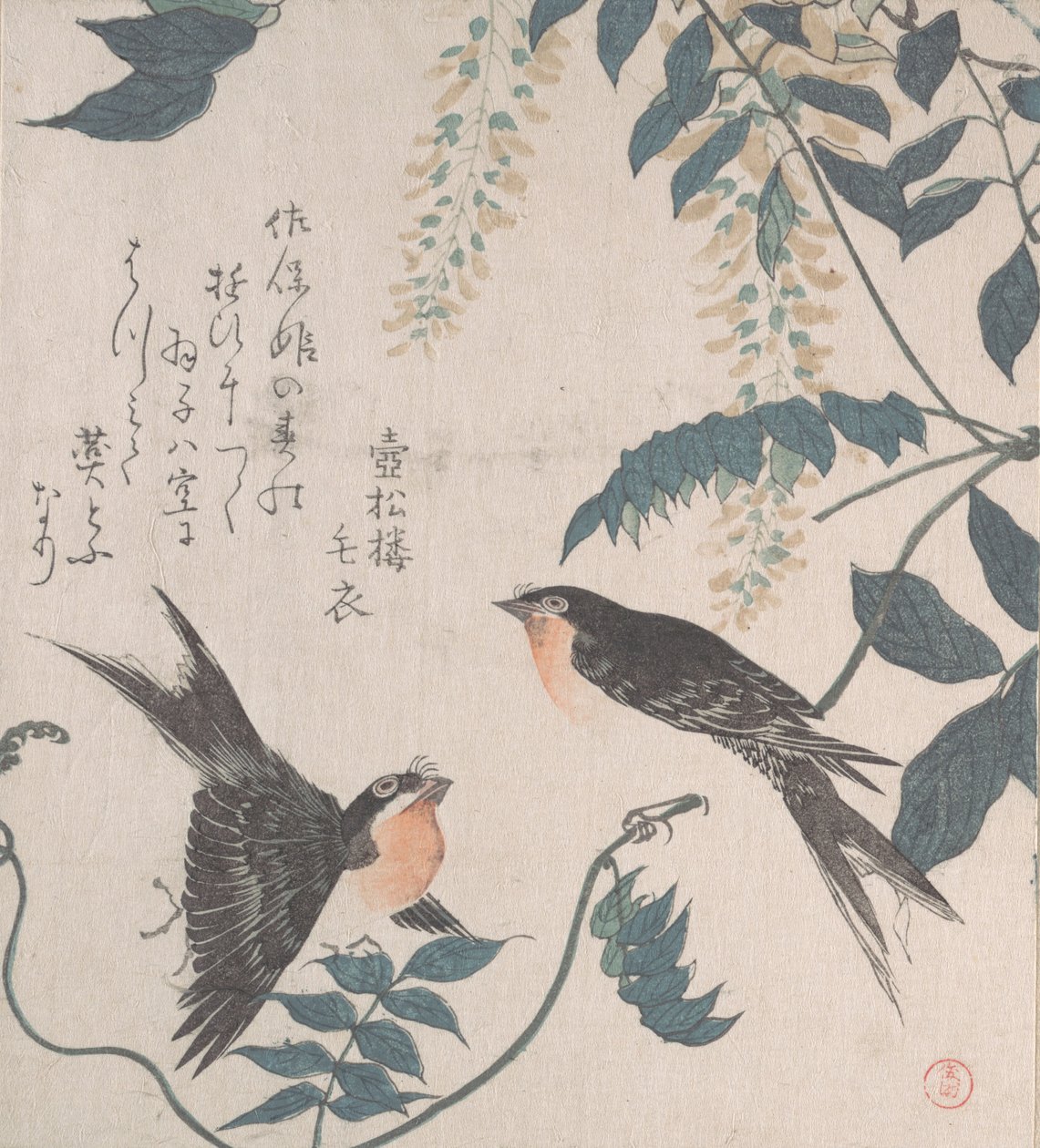 Svaler og Wisteria, 1800-tallet. af Kubo Shunman