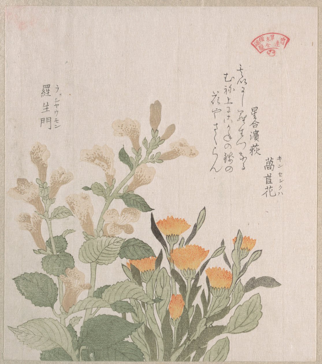 Den almindelige morgenfrue og Rajoman-blomsterne af Kubo Shunman