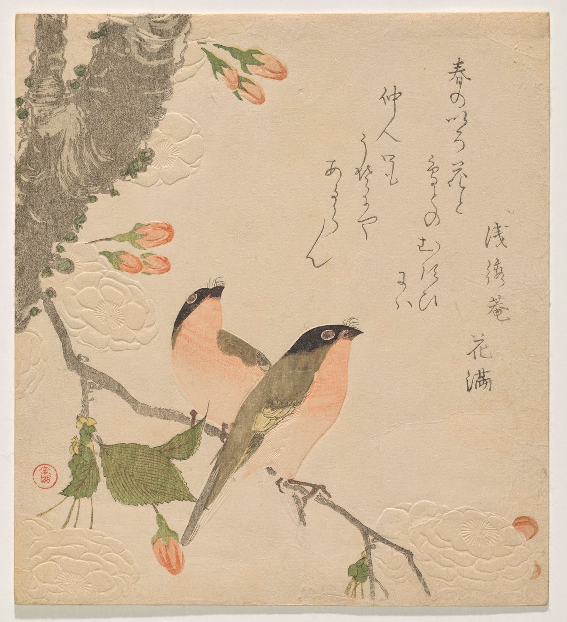 To bullfinches på et dobbeltbladet kirsebærtræ (Uso ni Yae-zakura) af Kubo Shunman