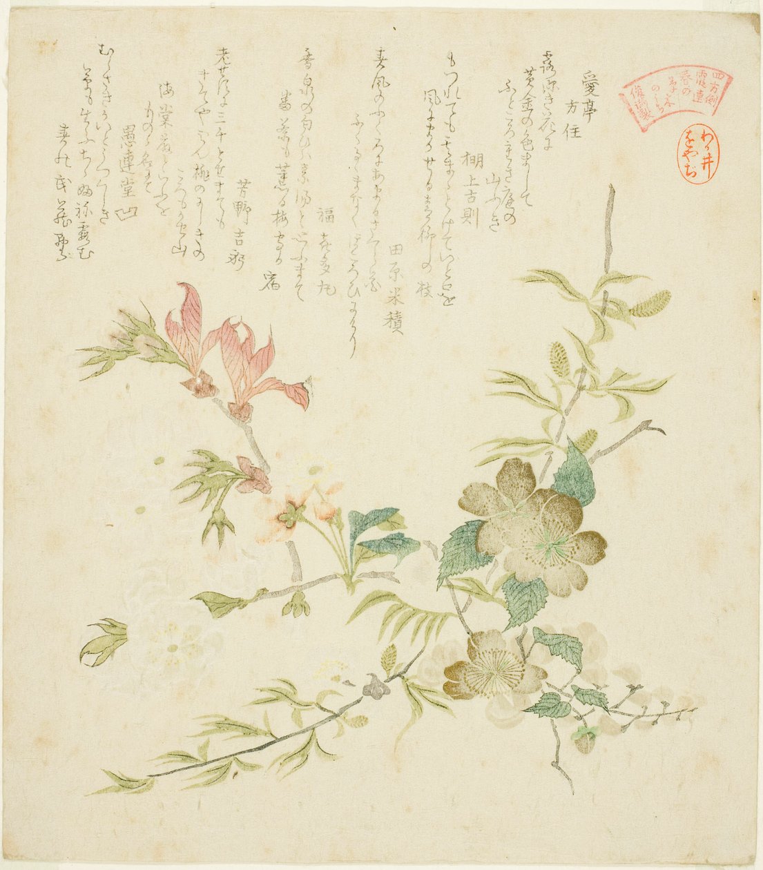 Forskellige forårsblomster, fra serien "Forårsplanter og træer til Kasumi Poetry Circle of the Yomo Group (Yomogawa Kasumi-ren haru no kusaki no uchi)" af Kubo Shunman