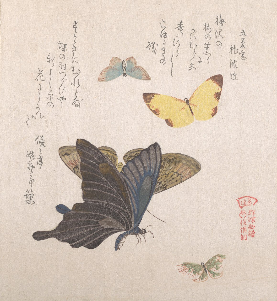 Forskellige møl og sommerfugle, 1800-tallet. af Kubo Shunman