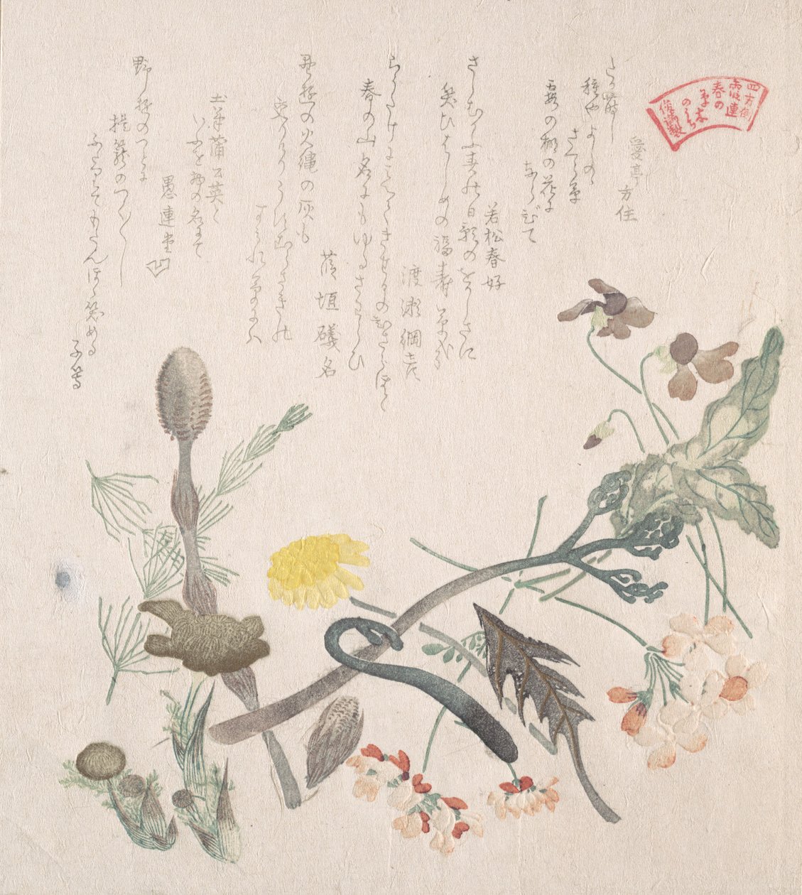 Violer, Primroser og andre forårsblomster, 1800-tallet. af Kubo Shunman