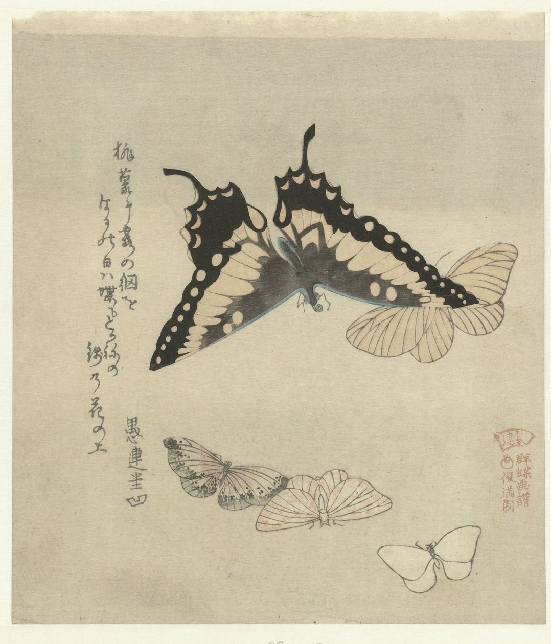 Fem sommerfugle En serie af tryk med sommerfugle for Kasumi Poetry Society (serietitel) Kasumiren gunchô gafu (serietitel på objekt) af Kubota Shunman