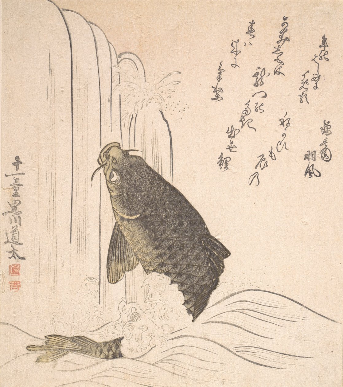 Karper prøver at svømme op ad et vandfald, sandsynligvis 1820. af Kurokawa Michita