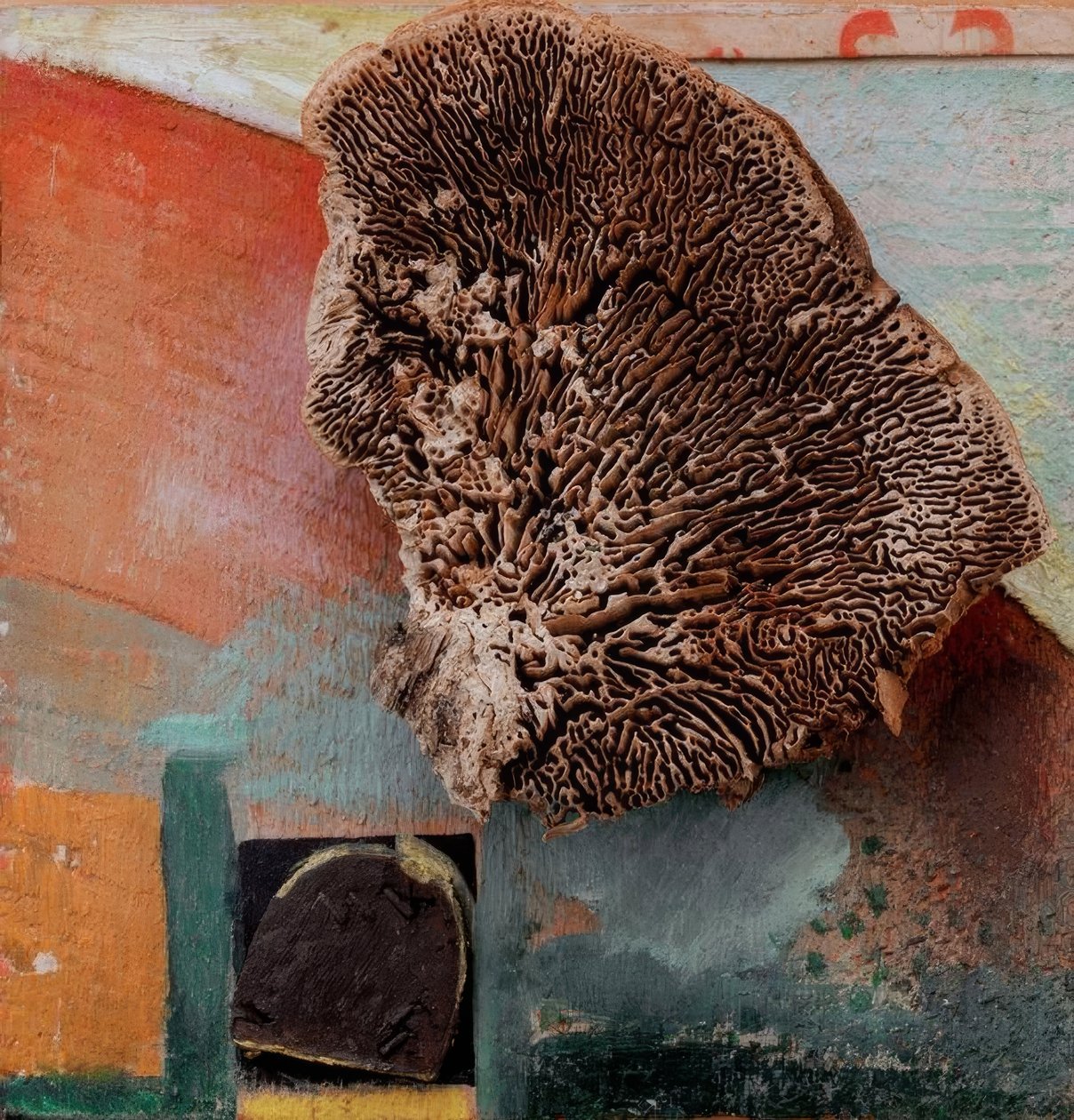 Uden titel (Merz-billede med koral) af Kurt Schwitters