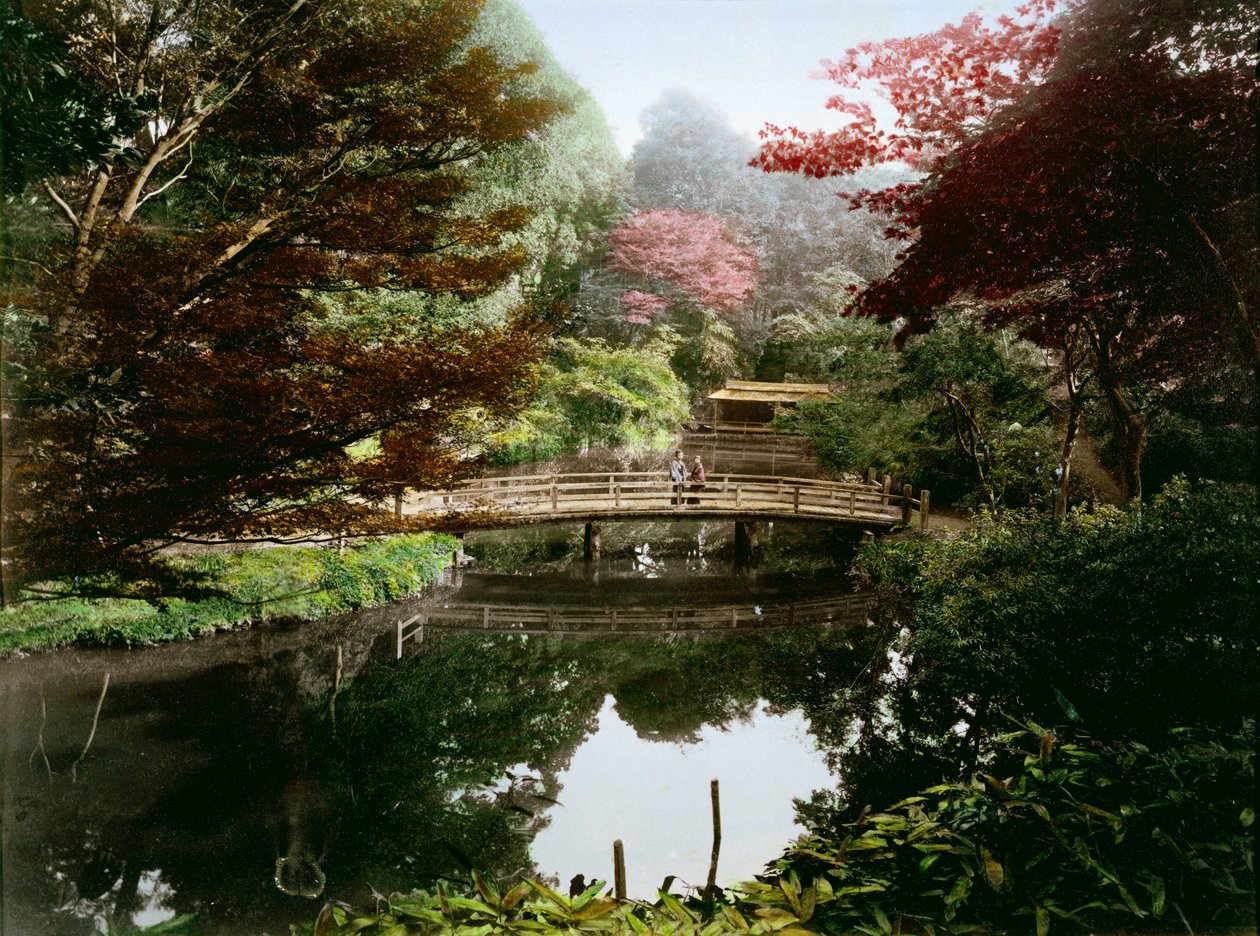 Japansk prydhave i blomst (håndfarvet albumin print på kort) af Kusakabe Kimbei