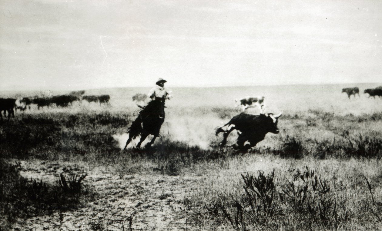 Cowboy på hesteryg lasso en kalv (bw-billede) af L.A. Huffman